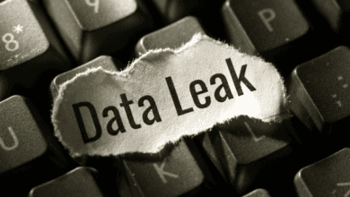 How can Companies Avoid Data Breaches?