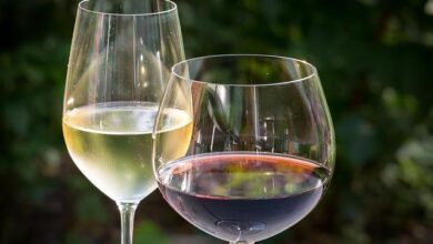Discover the 5 Different Types of Wine