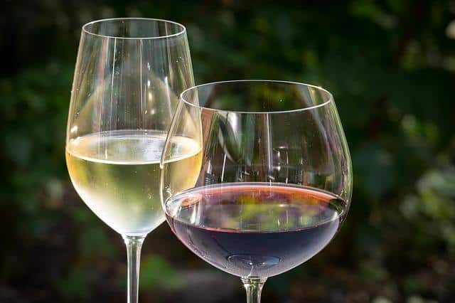 Discover the 5 Different Types of Wine