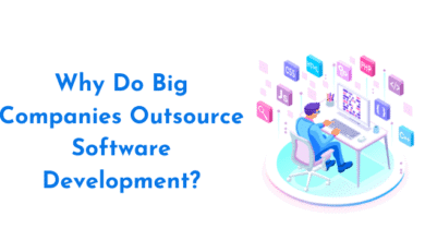 Why Do Big Companies Outsource Software Development?