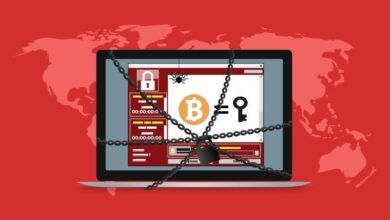 Ransomware Ransoms