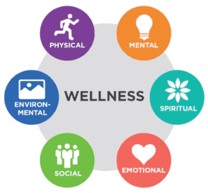 What Are the Five Components of Health and Wellness?